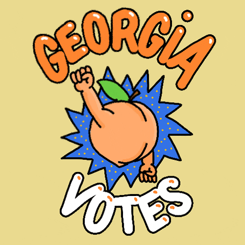 Georgia Peach Vote GIF by INTO ACTION