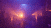 Tj Edwards GIF by Chicago Bears