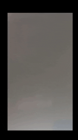 Simongip giphygifmaker GIF