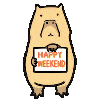 Happy Sunday Dancing Sticker