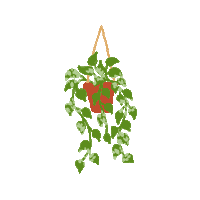 Pothos Sticker