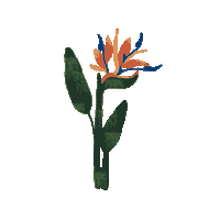 Birds Of Paradise Sticker