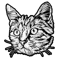 red dead redemption 2 cat Sticker by Rockstar Games
