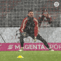 Warm Up Bundesliga GIF by FC Bayern Munich