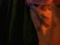 Dance Chiffon GIF by k.d. lang