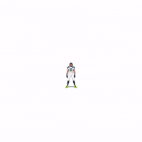 Seattle Seahawks Football GIF by SportsManias