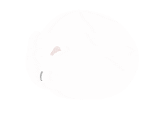 Hamster ハムスター Sticker