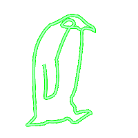 Penguin Vector Sticker