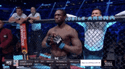 Mixed Martial Arts Sport GIF by UFC