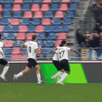 Goal Ordonez GIF by Parma Calcio 1913