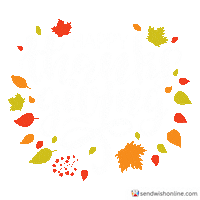 Thanks Thanksgiving Sticker by sendwishonline.com