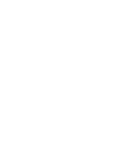 Star Sticker by Stefanie Shank