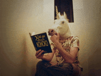 SofiaInternationalFilmFestival horse book unicorn 25 GIF