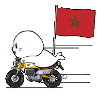 Lets Go Football Sticker by Sappy Seals