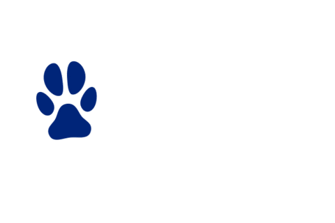 College Mu Sticker by Moravian University