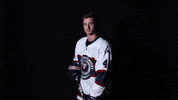 lmuicehockey goal hockey win lion GIF