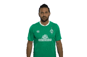 Claudio Pizarro Football Sticker by SV Werder Bremen