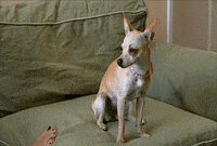 1x10 GIF by The Hills