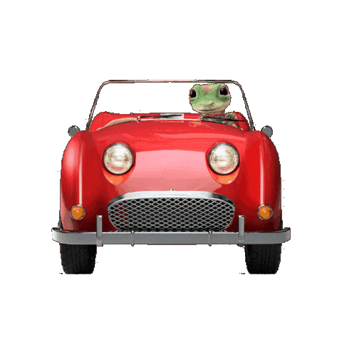 Car Driving Sticker by GEICO