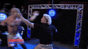 Fight Disagree GIF by United Wrestling Network