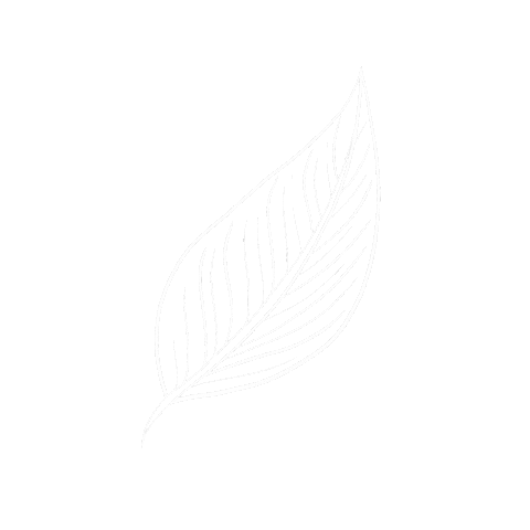 Flower Plant Sticker