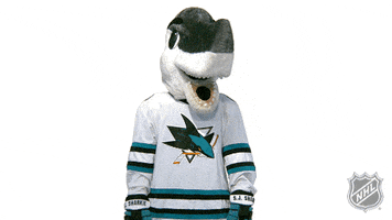 Ice Hockey Whatever GIF by NHL
