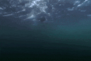 Lets Go Yes GIF by Shark Week