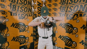 Baseball Bison GIF by NDSU Athletics