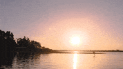 Beach Sun GIF by FIU