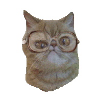Silly Sticker by imoji