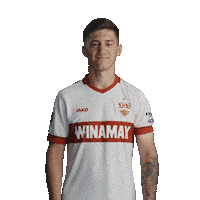 Heart Stiller Sticker by VfB Stuttgart