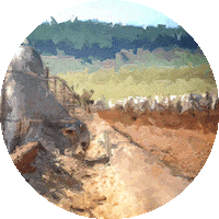 Gado Agroeste Sticker by Agro Bayer