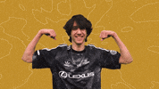 Esports Sniper GIF by 100 Thieves