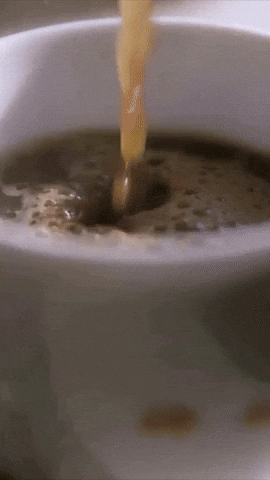 Caffeine Morning Coffee GIF by Berk's Beans Coffee