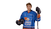 Hockey Ccm Sticker by UNIS Flyers