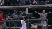 air hug GIF by MLB
