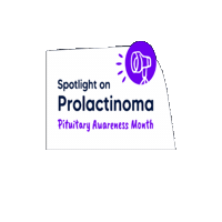 ThePitFoundation pituitary pituitaryawarenessmonth pituitaryawarenessmonth2023 pituitaryfoundation Sticker