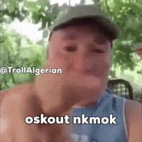 Algeria Tunisia GIF