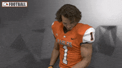 Cnfb GIF by Carson-Newman Athletics