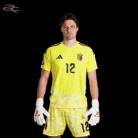 Fifa World Cup Uefa GIF by Respective