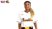 The Valley Mvc GIF by Missouri Valley Conference