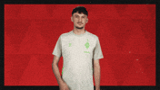 Werder Bremen Football GIF by Bundesliga