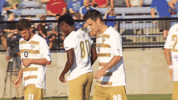 soccer goal GIF by Louisville City FC