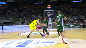 Liga Endesa Basketball GIF by ACB