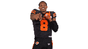 British Columbia Football Sticker by BC Lions