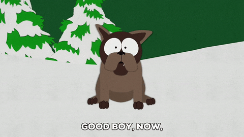 dog snow GIF by South Park 