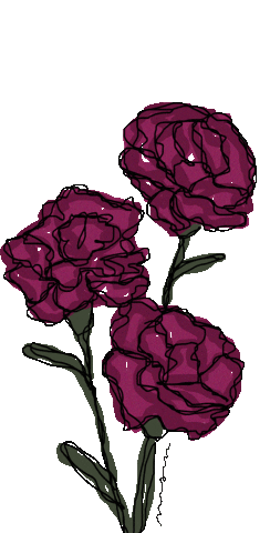 msmvisualdesign flower flowers msmvisualdesign Sticker