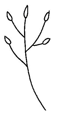 Flower Sticker by Daniela Nachtigall