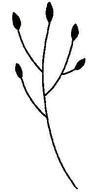 Flower Sticker by Daniela Nachtigall