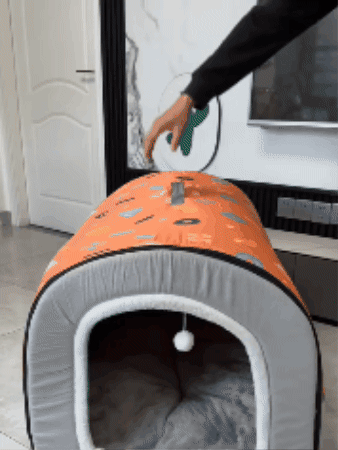 GIF Animado